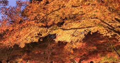 長瀞紅葉まつり2022 長瀞紅葉まつり2022