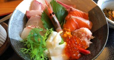 鳥取の海鮮丼 鳥取の海鮮丼